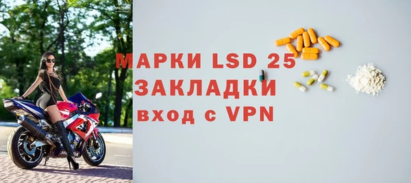 дмт Бородино
