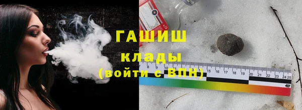 дмт Бородино