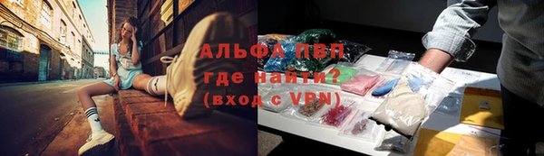 дмт Бородино