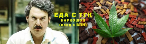 дмт Бородино