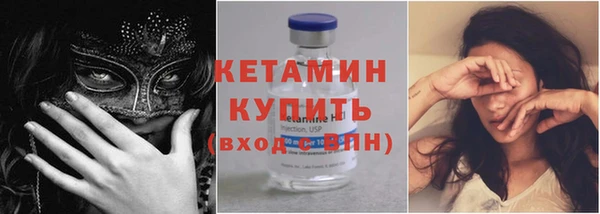 дмт Бородино
