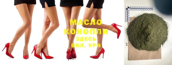 дмт Бородино