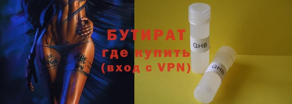 дмт Бородино