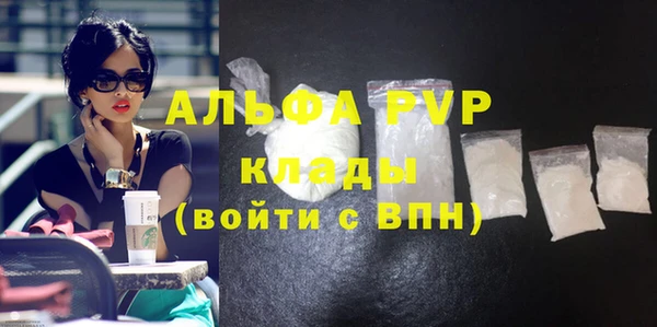 дмт Бородино