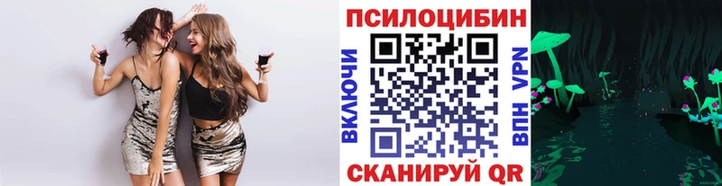 хочу   Старый Оскол  Галлюциногенные грибы Magic Shrooms 